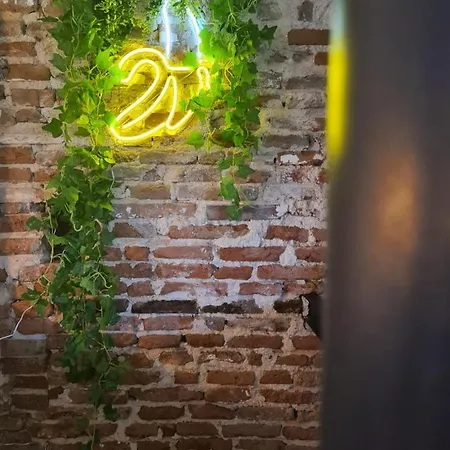 Le Jungle *